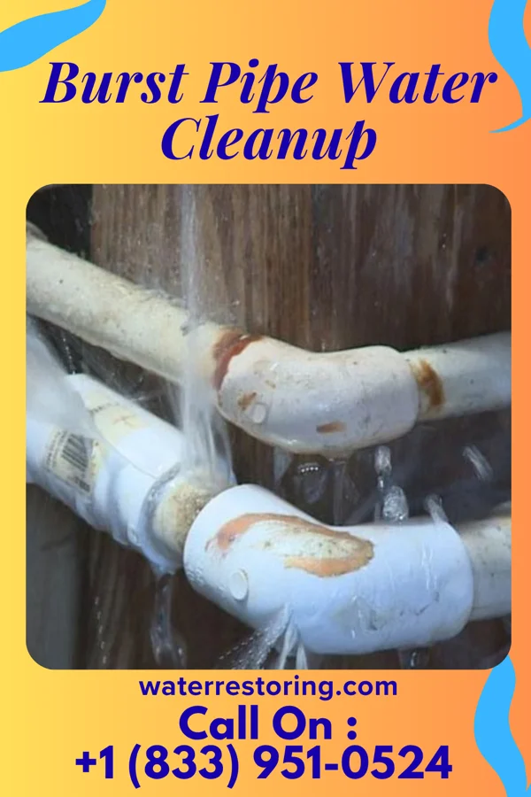 Burst Pipe Water Cleanup in Endicott, WA