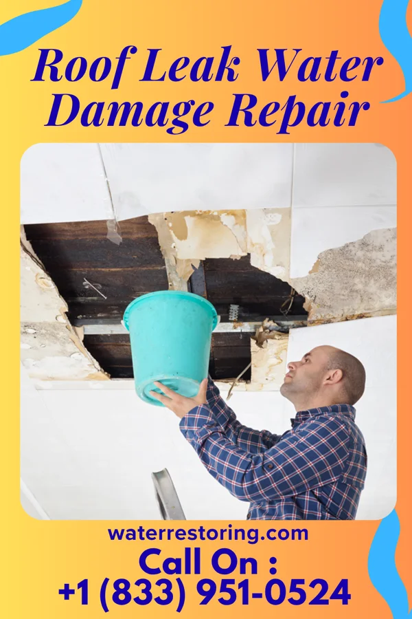 Roof Leak Water Damage Repair in Endicott, WA
