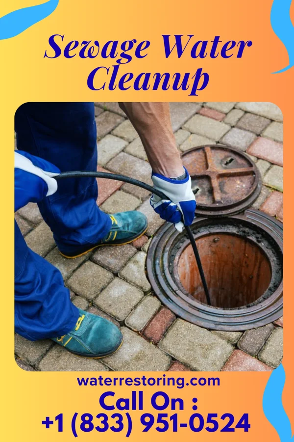 Sewage Water Cleanup in Endicott, WA